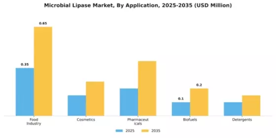Microbial Lipase Market Segment Image 0