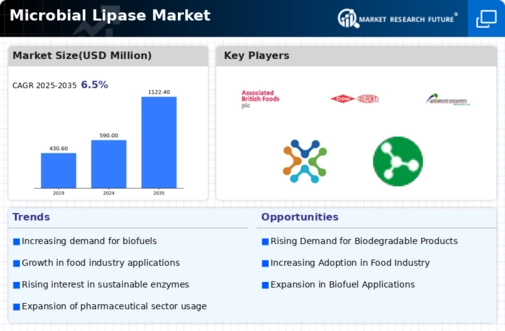 Microbial Lipase Market Infographic