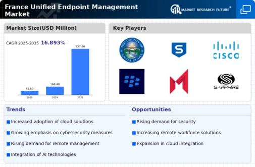 France Unified Endpoint Management Market Infographic