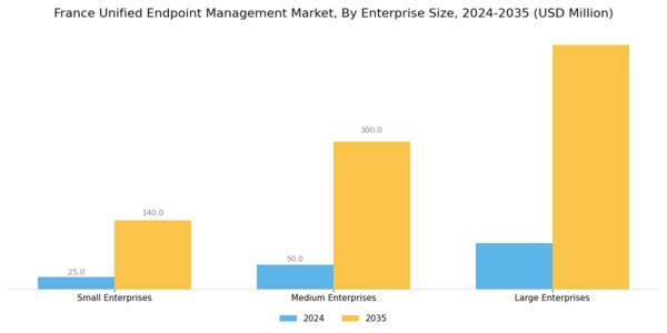 France Unified Endpoint Management Market Segment Image 1