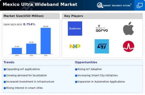 Mexico Ultra Wideband Market Infographic