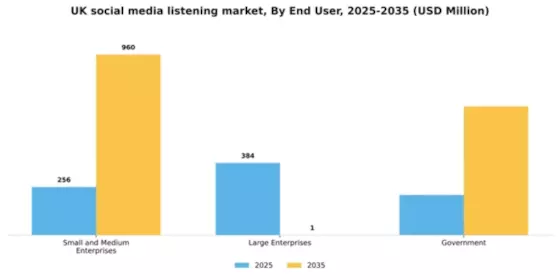UK Social Media Listening Market Segment Image 3