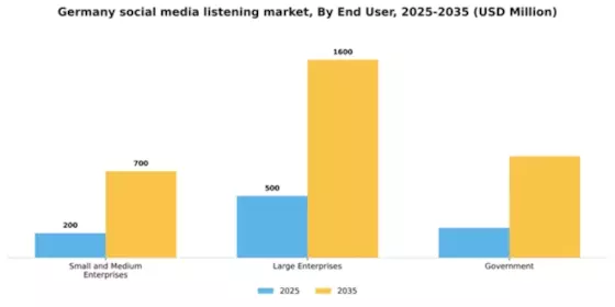 Germany Social Media Listening Market Segment Image 3