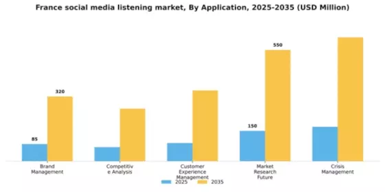 France Social Media Listening Market Segment Image 0