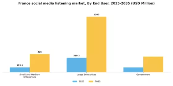 France Social Media Listening Market Segment Image 3