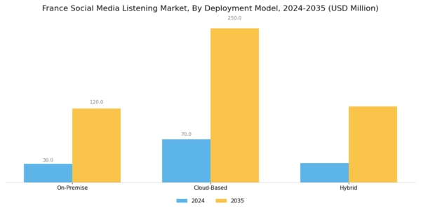 France Social Media Listening Market Segment Image 1