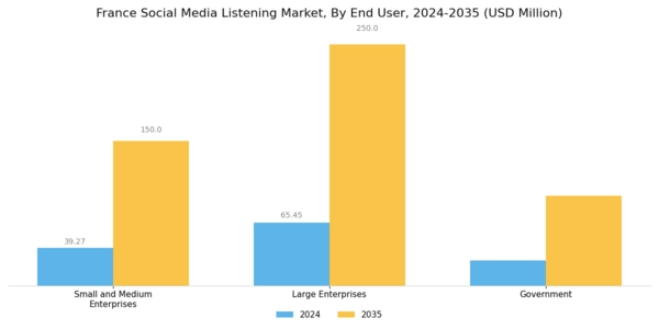 France Social Media Listening Market Segment Image 2