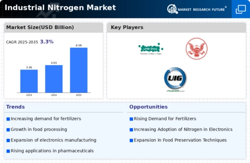 Industrial Nitrogen Market Infographic
