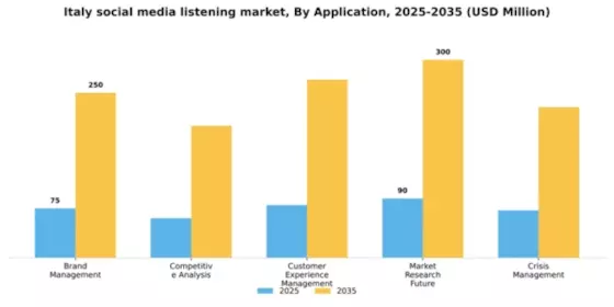 Italy Social Media Listening Market Segment Image 0