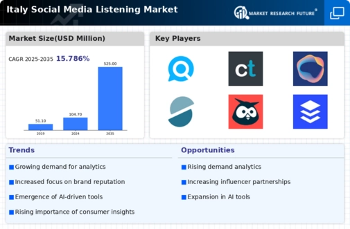 Italy Social Media Listening Market Infographic