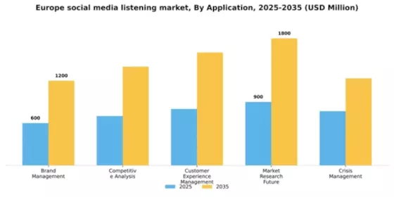 Europe Social Media Listening Market Segment Image 0