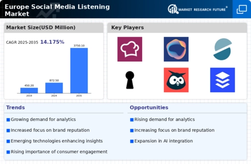 Europe Social Media Listening Market Infographic
