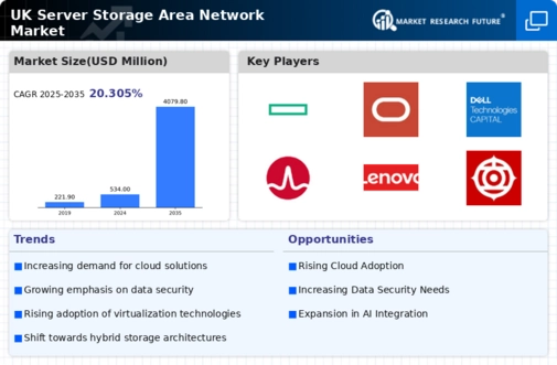 UK Server Storage Area Network Market Infographic