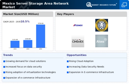 Mexico Server Storage Area Network Market Infographic