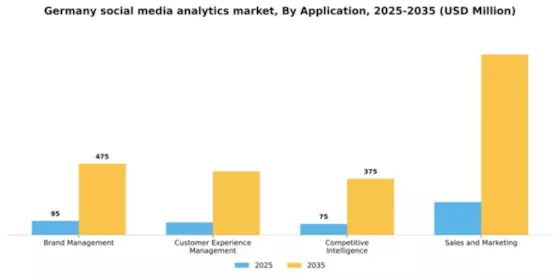 Germany Social Media Analytics Market Segment Image 0