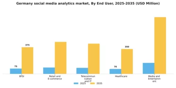 Germany Social Media Analytics Market Segment Image 2