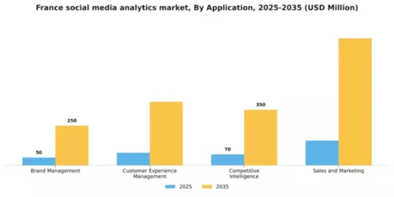 France Social Media Analytics Market Segment Image 0