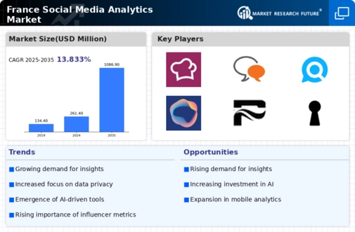 France Social Media Analytics Market Infographic