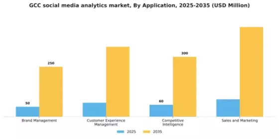 GCC Social Media Analytics Market Segment Image 0