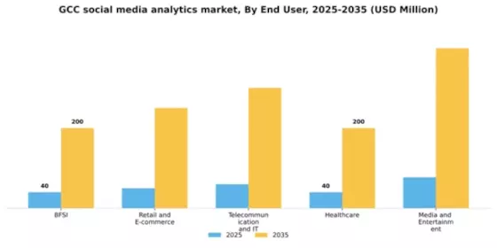 GCC Social Media Analytics Market Segment Image 2