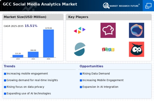 GCC Social Media Analytics Market Infographic