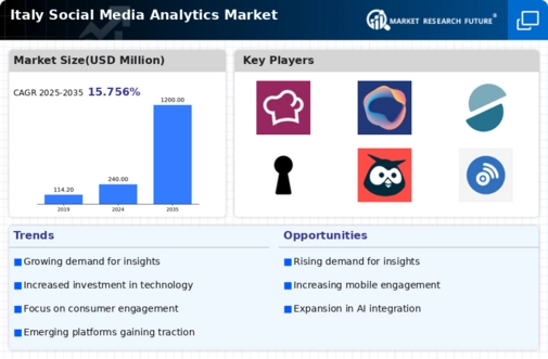 Italy Social Media Analytics Market Infographic
