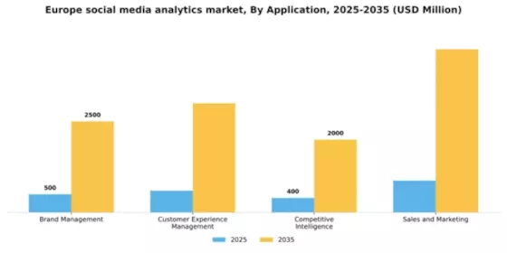 Europe Social Media Analytics Market Segment Image 0