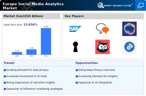 Europe Social Media Analytics Market Infographic