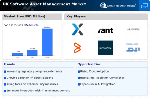 UK Software Asset Management Market Infographic