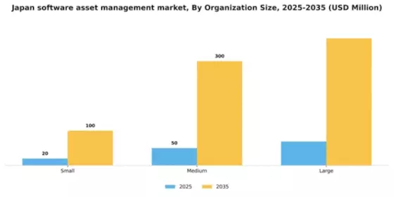 Japan Software Asset Management Market Segment Image 2
