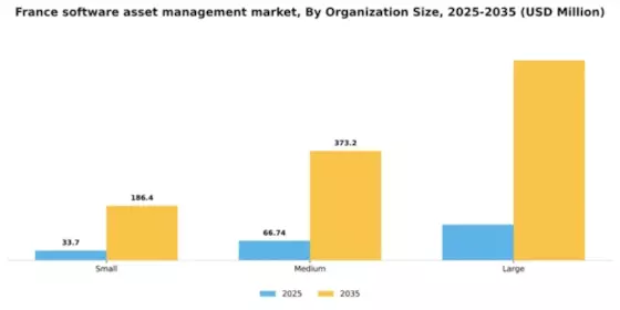 France Software Asset Management Market Segment Image 2