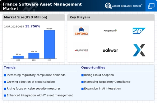 France Software Asset Management Market Infographic