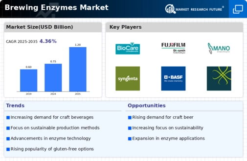 Brewing Enzymes Market Infographic