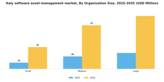 Italy Software Asset Management Market Segment Image 2