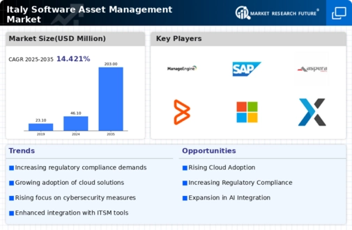 Italy Software Asset Management Market Infographic