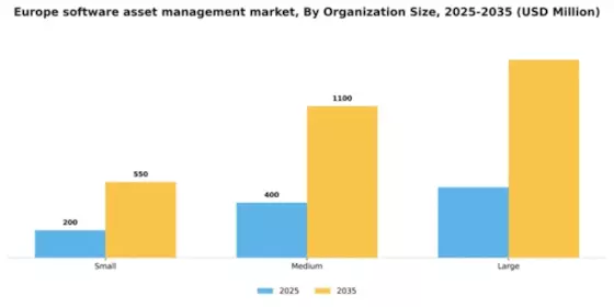 Europe Software Asset Management Market Segment Image 2