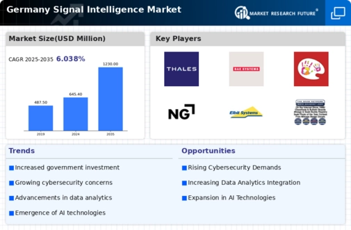 Germany Signal Intelligence Market Infographic