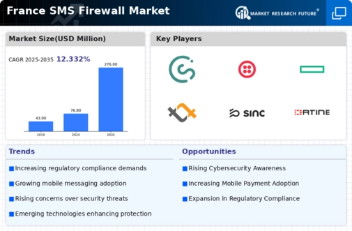 France Sms Firewall Market Infographic