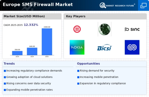 Europe Sms Firewall Market Infographic