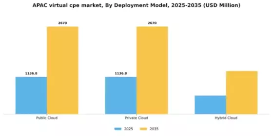 APAC Virtual Cpe Market Segment Image 0