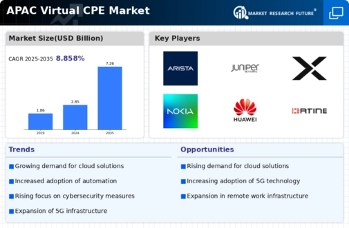 APAC Virtual Cpe Market Infographic
