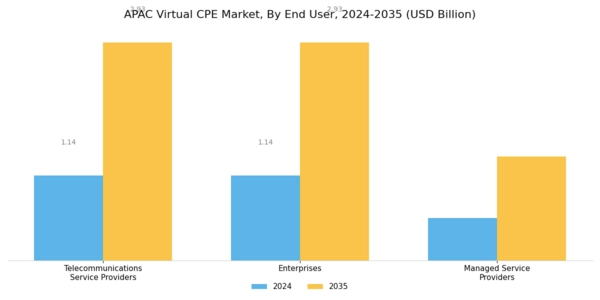 APAC Virtual Cpe Market Segment Image 2
