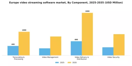 Europe Video Streaming Software Market Segment Image 0
