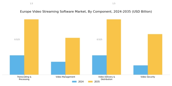 Europe Video Streaming Software Market Segment Image 0