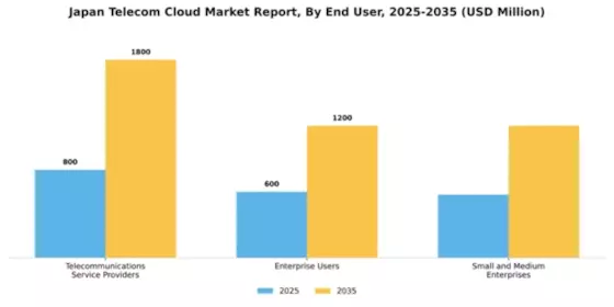 Japan Telecom Cloud Market Segment Image 2