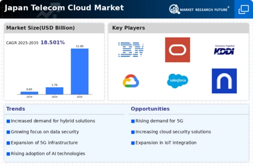 Japan Telecom Cloud Market Infographic