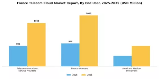 France Telecom Cloud Market Segment Image 2