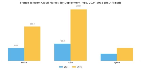France Telecom Cloud Market Segment Image 0