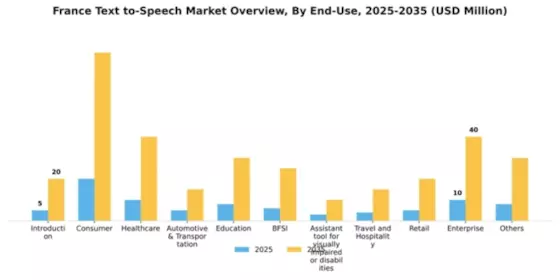 France Text To Speech Market Segment Image 2