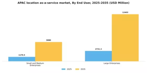 APAC Location As A Service Market Segment Image 1